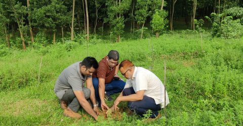 গাজীপুরে বনভূমিতে ১০ হাজার তালবীজ রোপণ কর্মসূচি পালিত