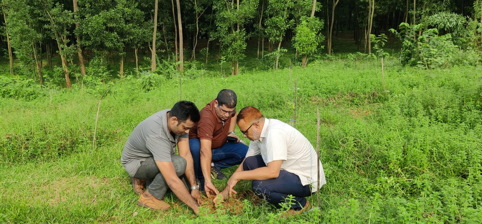 গাজীপুরে বনভূমিতে ১০ হাজার তালবীজ রোপণ কর্মসূচি পালিত