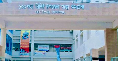 গোপালগঞ্জের কোটালীপাড়ায় ভিমরুলের কামড়ে কৃষকের মৃত্যু