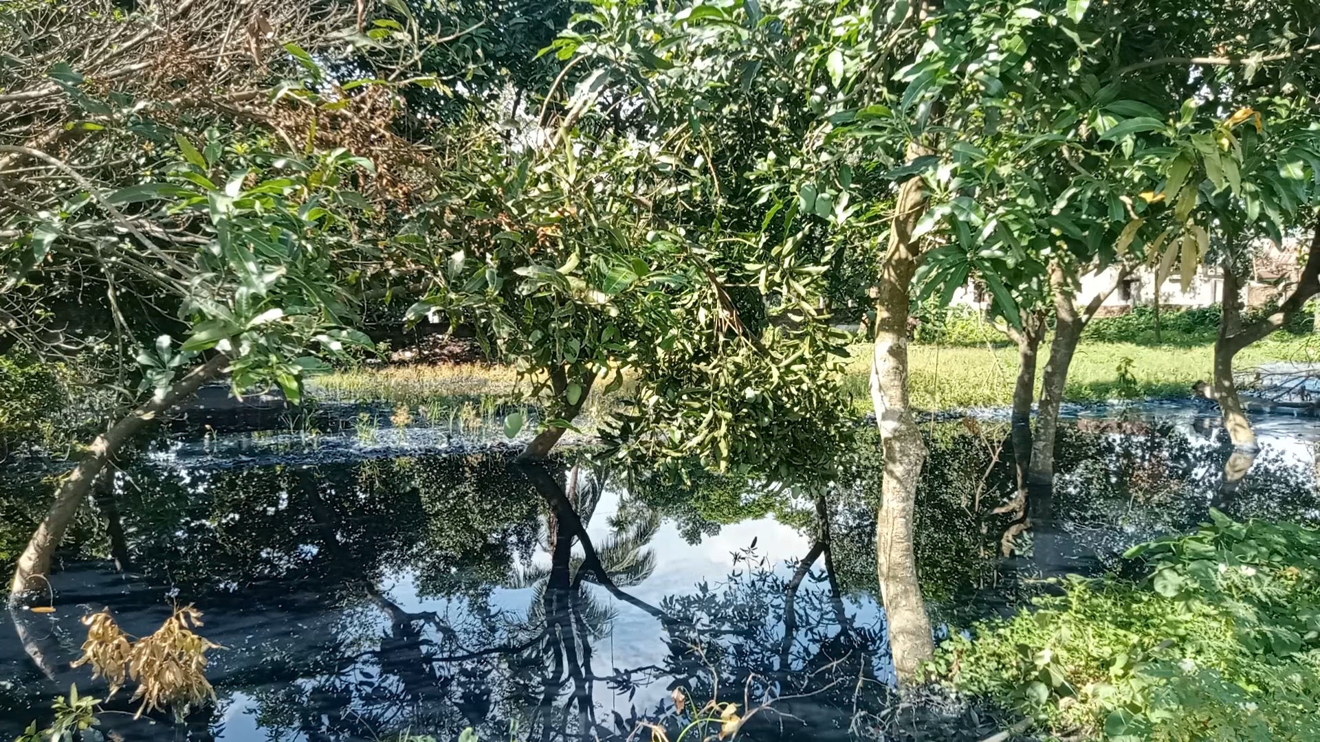 শিল্প-কারখানার বর্জ্যে হুমকির মুখে জনজীবন, দায়িত্বশীলরা যেন বসে আছেন হাত-পা গুটিয়ে