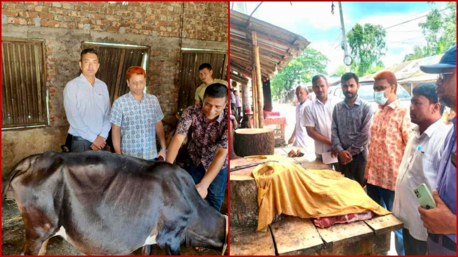 কাউনিয়ায় ছড়িয়ে পড়ছে অ্যানথ্রাক্স রোগ: আক্রান্ত গরুর মাংস নাড়াচারা ও খাওয়ায় ৪ জনের নমুনা শনাক্ত