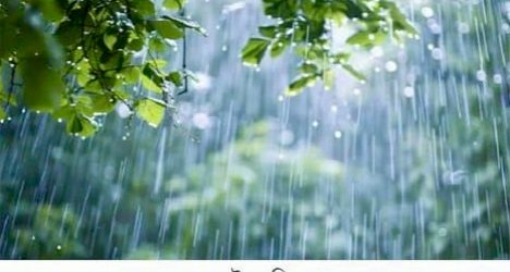 বৃষ্টি নিয়ে আবহাওয়া অধিদপ্তরের নতুন বার্তা 