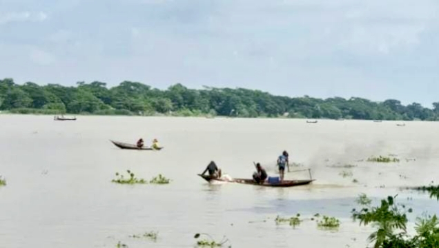 প্রজনন মৌসুমেও থামছে না মা ইলিশ শিকার: নদীতে চলছে চোর পুলিশের খেলা