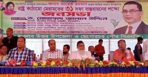 চাঁদপুরে তারেক রহমানের ৩১ দফা বাস্তবায়নে বিএনপির সমাবেশ