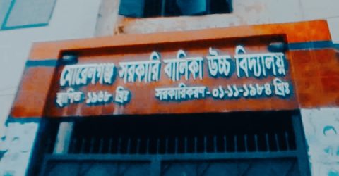 মোরেলগঞ্জ সরকারি উচ্চ বালিকা বিদ্যালয়ে শিক্ষক সংকটে পাঠদান ব্যাহত