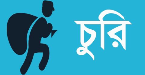ভূরুঙ্গামারীর পাইকেরছড়ায় চুরির হিড়িক, আতঙ্কে এলাকাবাসী