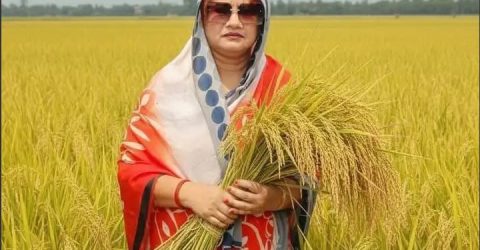 ঝালকাঠি-২ আসনে বিএনপির মনোনয়ন পেয়েছেন সাবেক সংসদ সদস্য ইসরাত সুলতানা ইলেন ভুট্টো