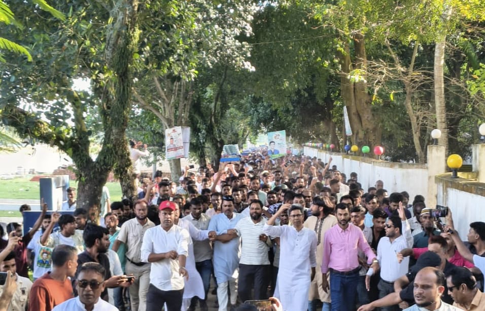 দলীয় মনোনয়ন না পেলেও ধানের শীষের পক্ষেই মাঠে মাহবুবুর রহমান