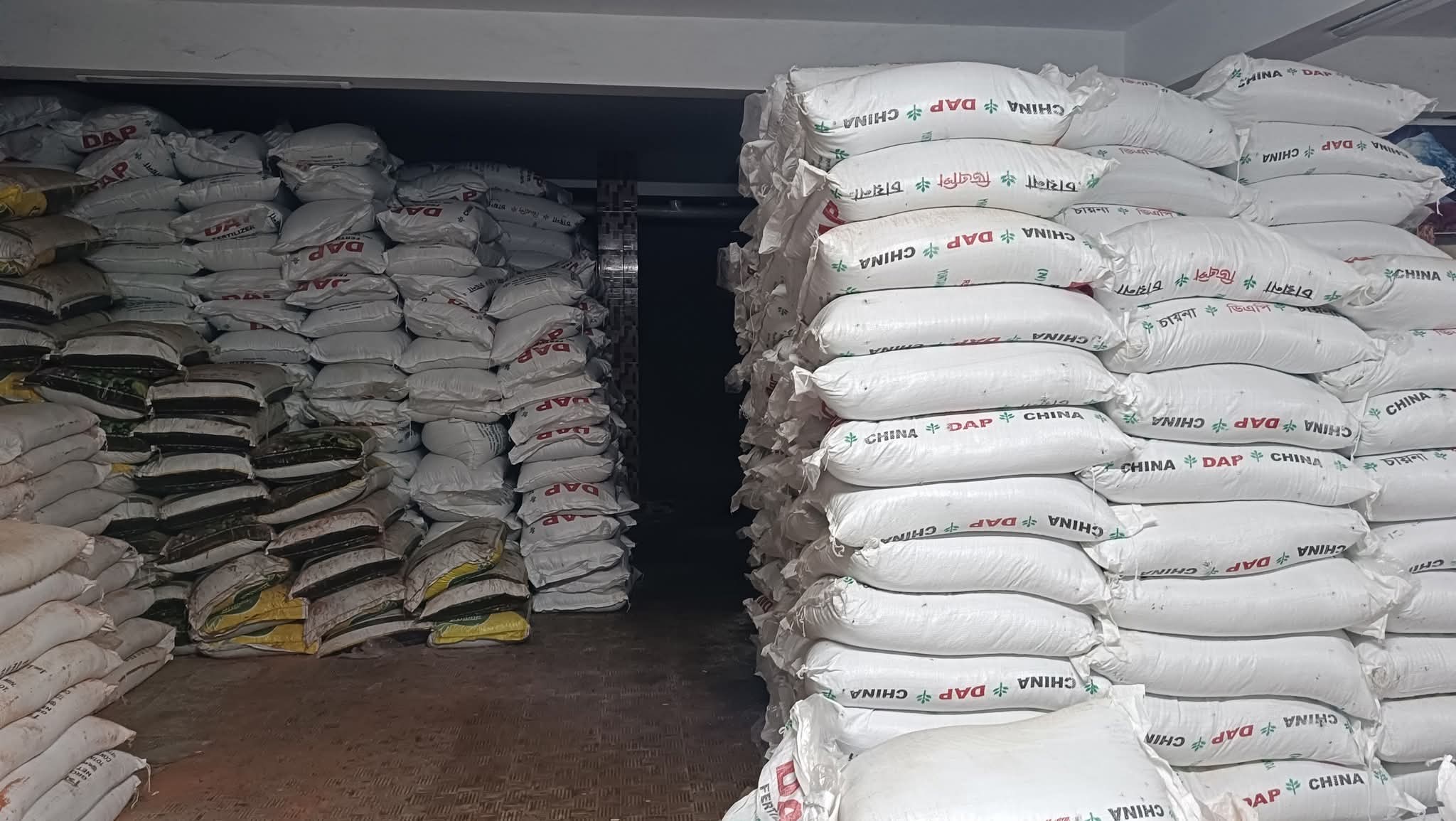 তাড়াশে সার সংকটে বিপাকে কৃষক: ডিলারদের অনিয়মে কৃষকদের ক্ষোভ