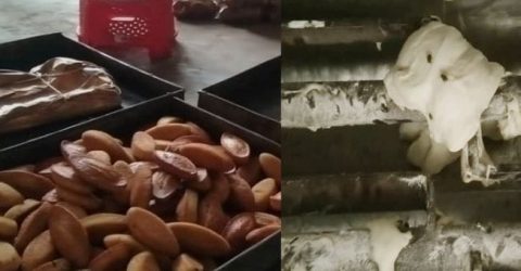 কালিকচ্ছ মনিরবাগ অস্বাস্থ্যকর পরিবেশে তৈরি হচ্ছে ভাই বন্ধু বেকারি পণ্য