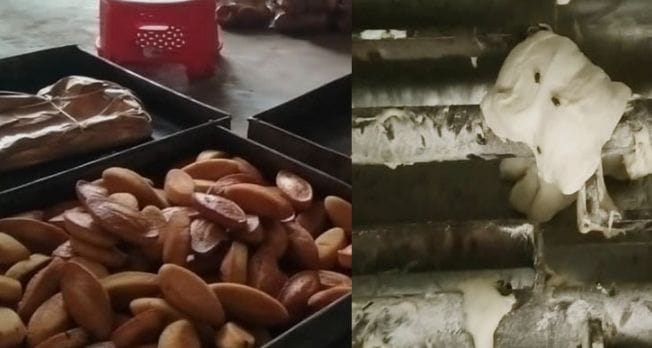 কালিকচ্ছ মনিরবাগ অস্বাস্থ্যকর পরিবেশে তৈরি হচ্ছে ভাই বন্ধু বেকারি পণ্য