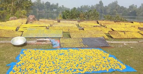 তাড়াশে কুমড়ো বড়ি তৈরিতে দিনরাত পরিশ্রম করছেন কারিগররা