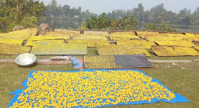 তাড়াশে কুমড়ো বড়ি তৈরিতে দিনরাত পরিশ্রম করছেন কারিগররা