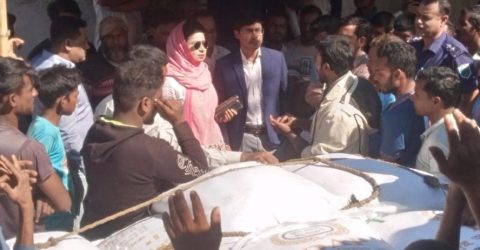 রাজশাহীতে সরকারি সার পাচারকালে ডিলার আটক , ভ্রাম্যমাণ আদালতে জরিমানা