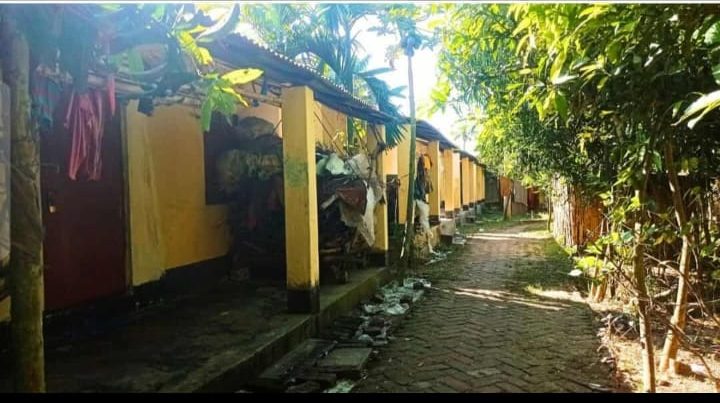 নয়াপাড়া আশ্রয়ন প্রকল্পে দখল–অব্যবহার, বঞ্চিত প্রকৃত ভূমিহীন পরিবারগুলো