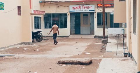 জমি নিয়ে বিরোধে চাচার হাতে ভাতিজা খুন