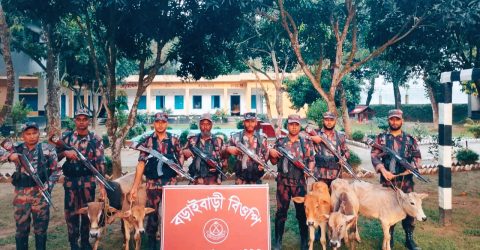 রৌমারী সীমান্তে বিজিবির অভিযান, ভারতীয় গরু জব্দ