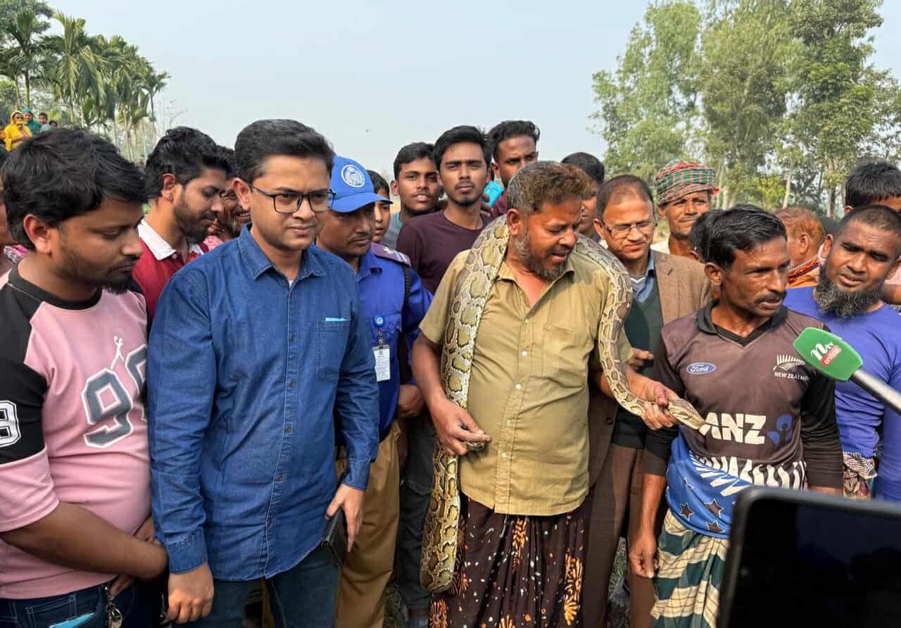 ভূরুঙ্গামারীতে ৯ ফুট লম্বা অজগর উদ্ধারঃ নিরাপদে বন বিভাগের হাতে হস্তান্তর