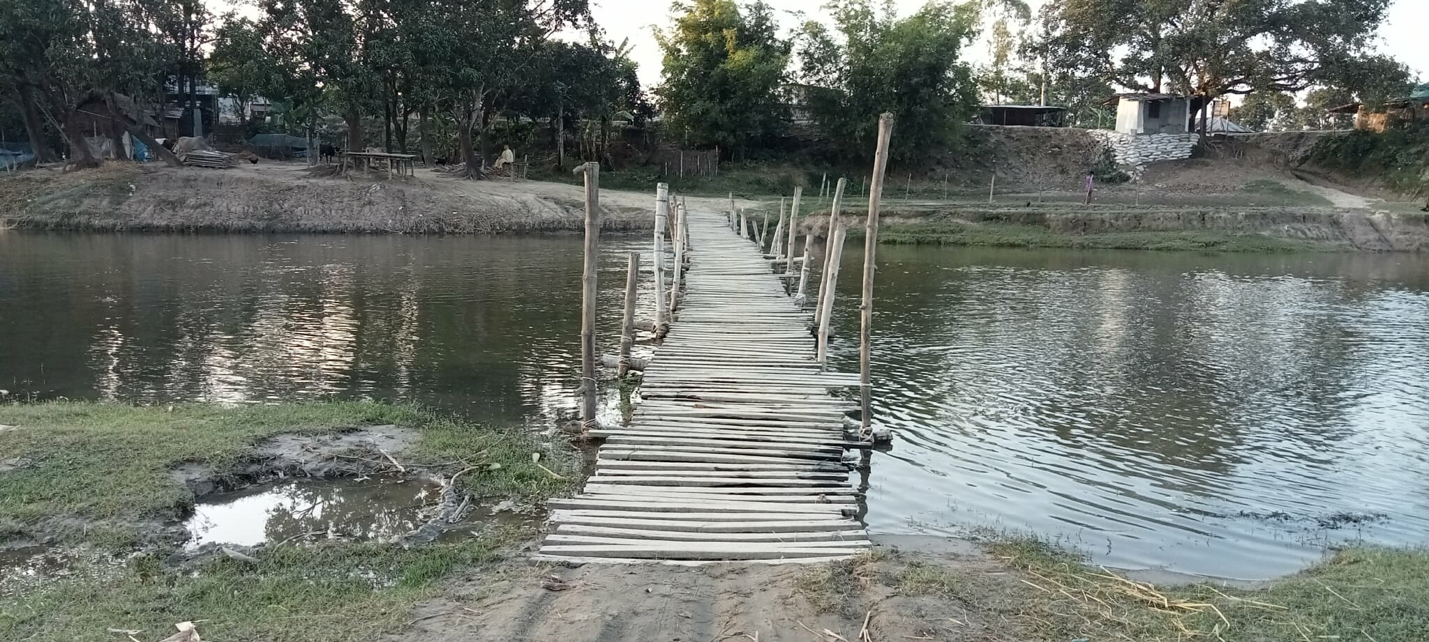 ঠাকুরগাঁওয়ের দশ গ্রামের মানুষের ঝুঁকিপূর্ণ বাঁশের সাঁকোই একমাত্র ভরসা 